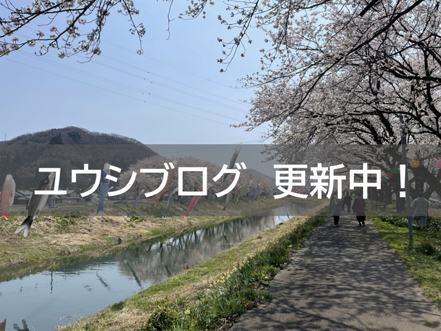 ユウシからのお知らせ